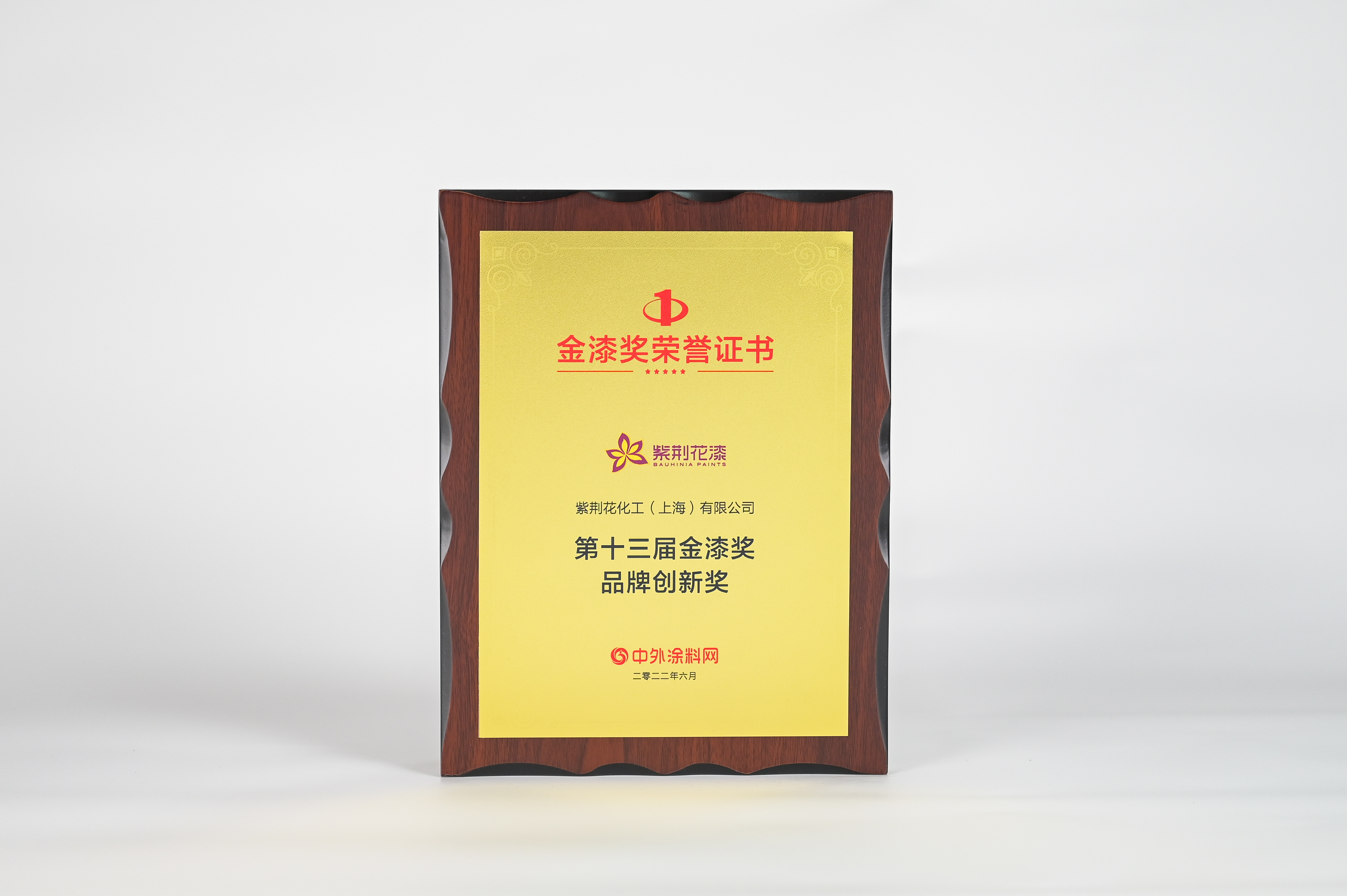 第十三届金漆奖品牌创新奖.jpg